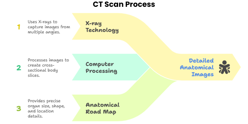 CT Scan Process