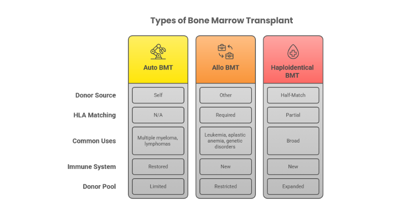 Types Of Bone Marrow Transplant