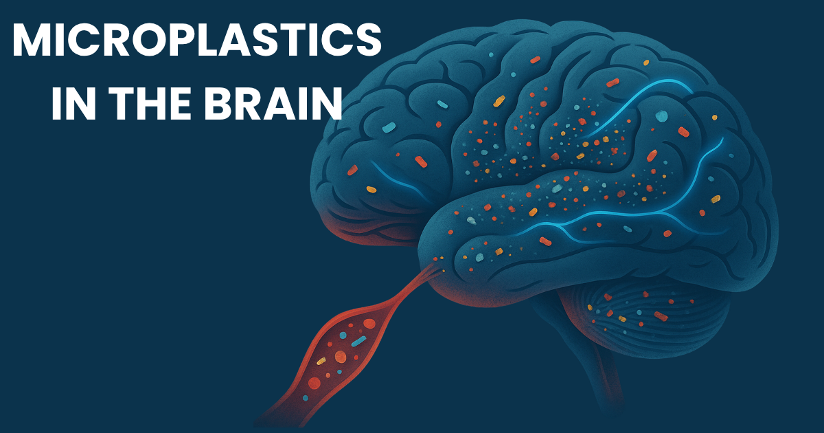 Illustration of microplastics entering the human brain, symbolizing neurotoxicity and blood-brain barrier breach.