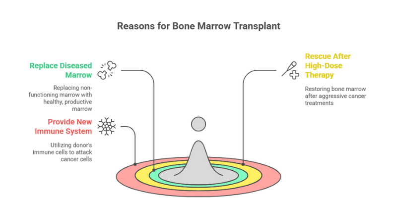 Reasons for Bone Marrow Transplant