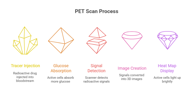 PET Scan Process